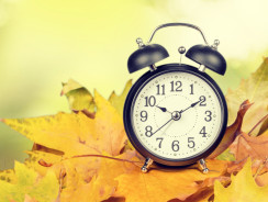 HOW CAN BANK LOANS HELP A COMPANY