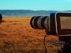 How much should your Business Spend on Video?