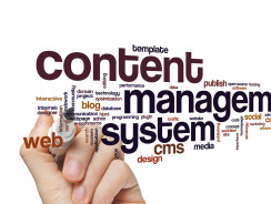 Does Your Website Need a CMS? Here’s What It Can Do for You