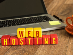 A Guide to Choosing Small Business Web Hosting