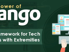 Why Entrepreneurs Prefer Using Django For Projects