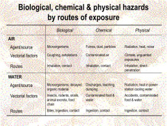 Avoiding Safety Hazards on the Job