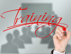 Sales Training Activities for managers